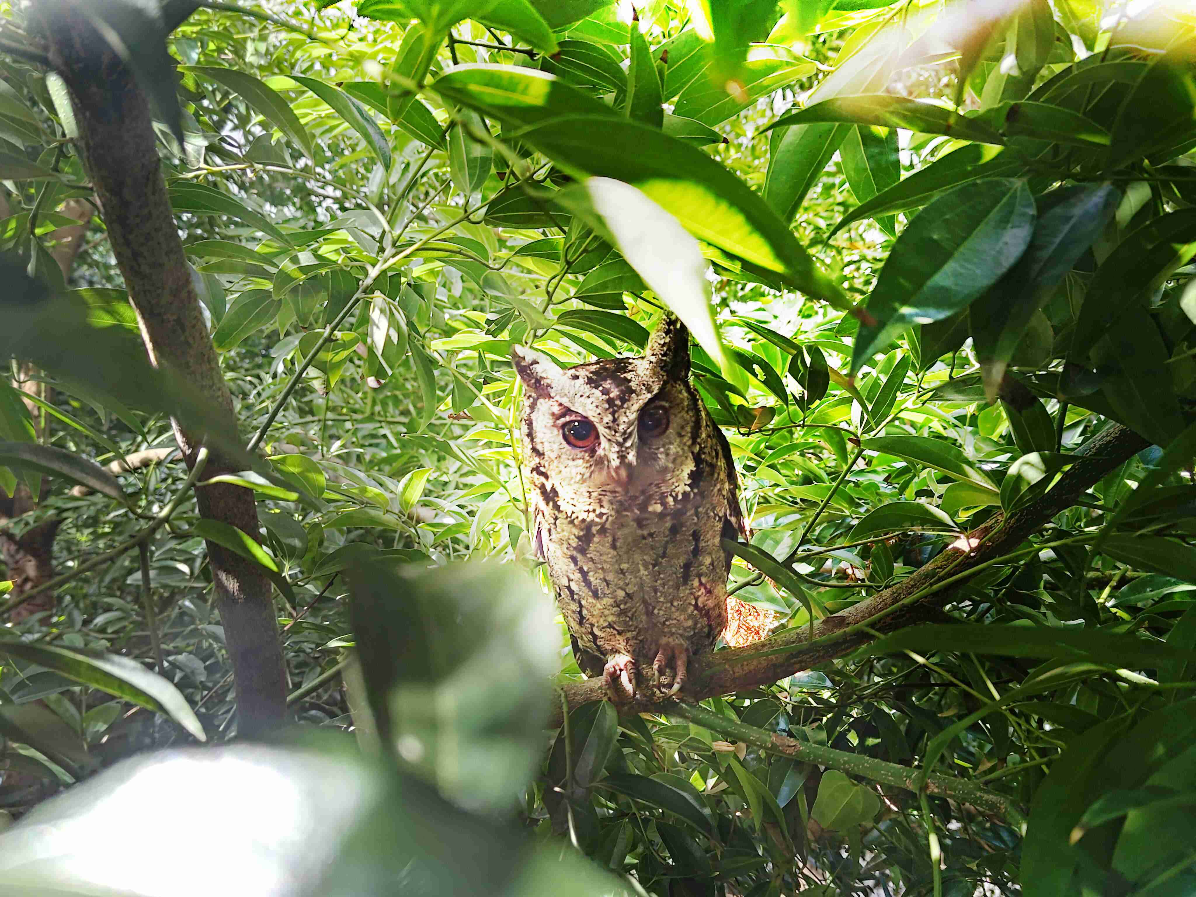 PG国际致力提倡净零绿生活，，，16年以来在全球各厂区植树逾百万棵，，造就各厂区树木蔚然成林，，，犹如森林工厂，，，成为许多生物的栖息地